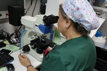 A Universidade Autônoma de Madri, Ginemed e Androfert demonstram a confiabilidade da avaliação de danos no DNA do esperma com a técnica SCD